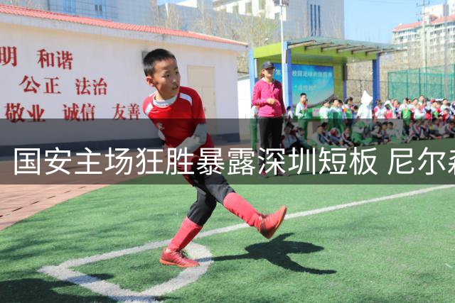 国安主场狂胜暴露深圳短板 尼尔森坦言球员心理崩盘