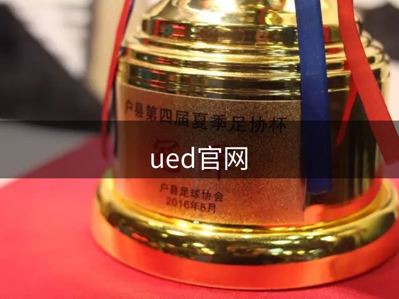 网站概况